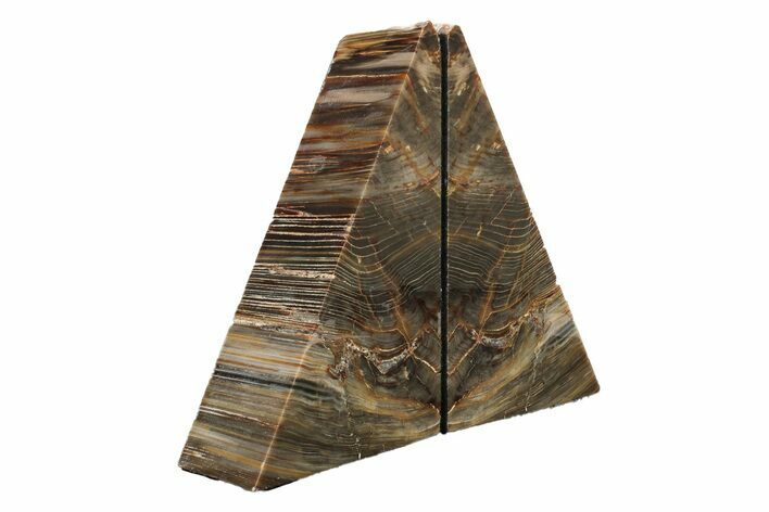 Polished Petrified Wood Bookends - Washington #240771